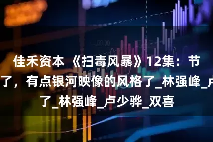 佳禾资本 《扫毒风暴》12集：节奏终于上去了，有点银河映像的风格了_林强峰_卢少骅_双喜