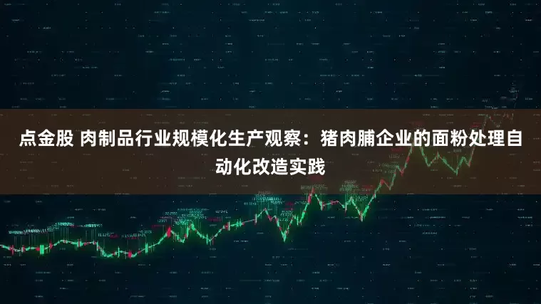 点金股 肉制品行业规模化生产观察：猪肉脯企业的面粉处理自动化改造实践