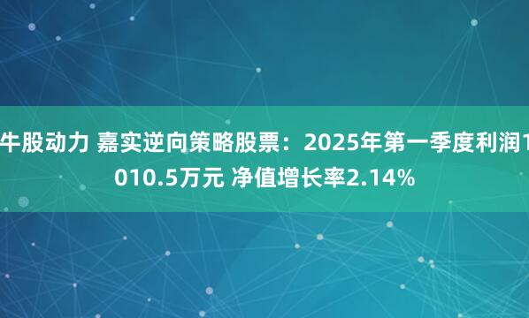 牛股动力 嘉实逆向策略股票：2025年第一季度利润1010.5万元 净值增长率2.14%