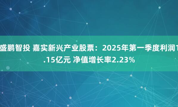 盛鹏智投 嘉实新兴产业股票：2025年第一季度利润1.15亿元 净值增长率2.23%